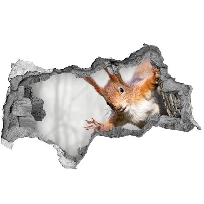 Autocolant de perete gaură 3D Veveriță în acțiune