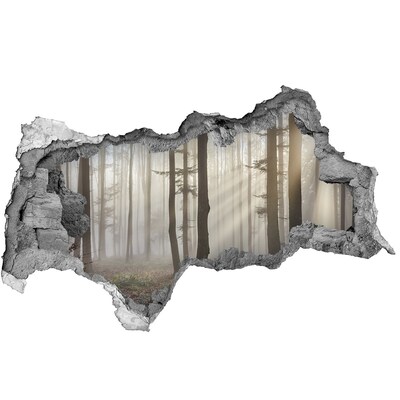 Autocolant autoadeziv gaură Pădure cețoasă în lumina dimineții