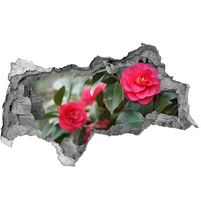 Autocolant gaură 3D Grădină de flori din beton