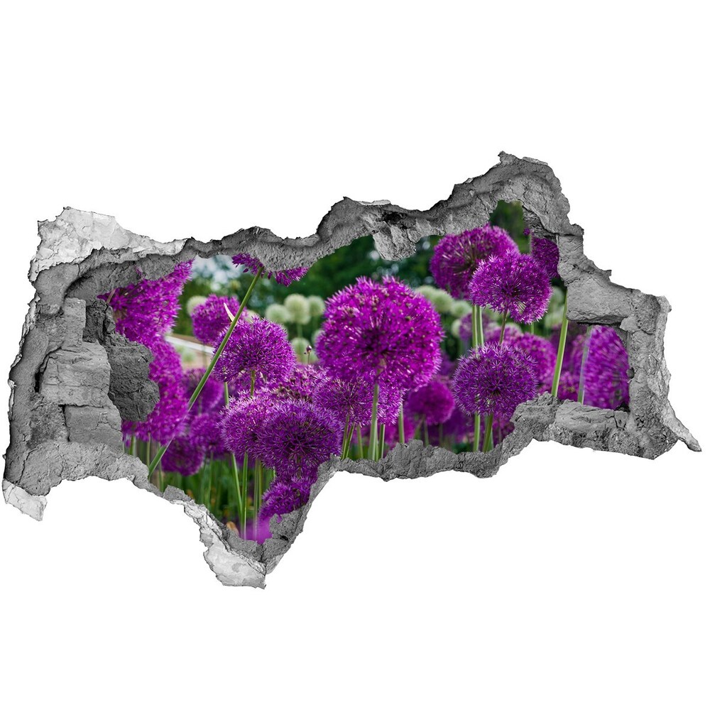 Autocolant de perete gaură 3D flori de usturoi