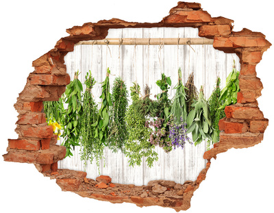 Autocolant de perete gaură 3D Grădina de plante aromatice în ruine
