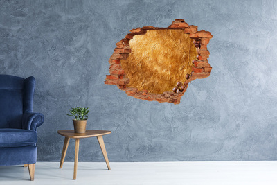 Autocolant autoadeziv gaură Gaură de aur în perete