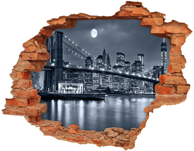 Fototapet 3D gaură în perete Manhattan New York City