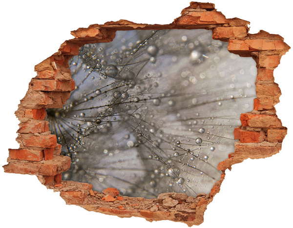 Autocolant de perete gaură 3D Picături de apă pe sticlă