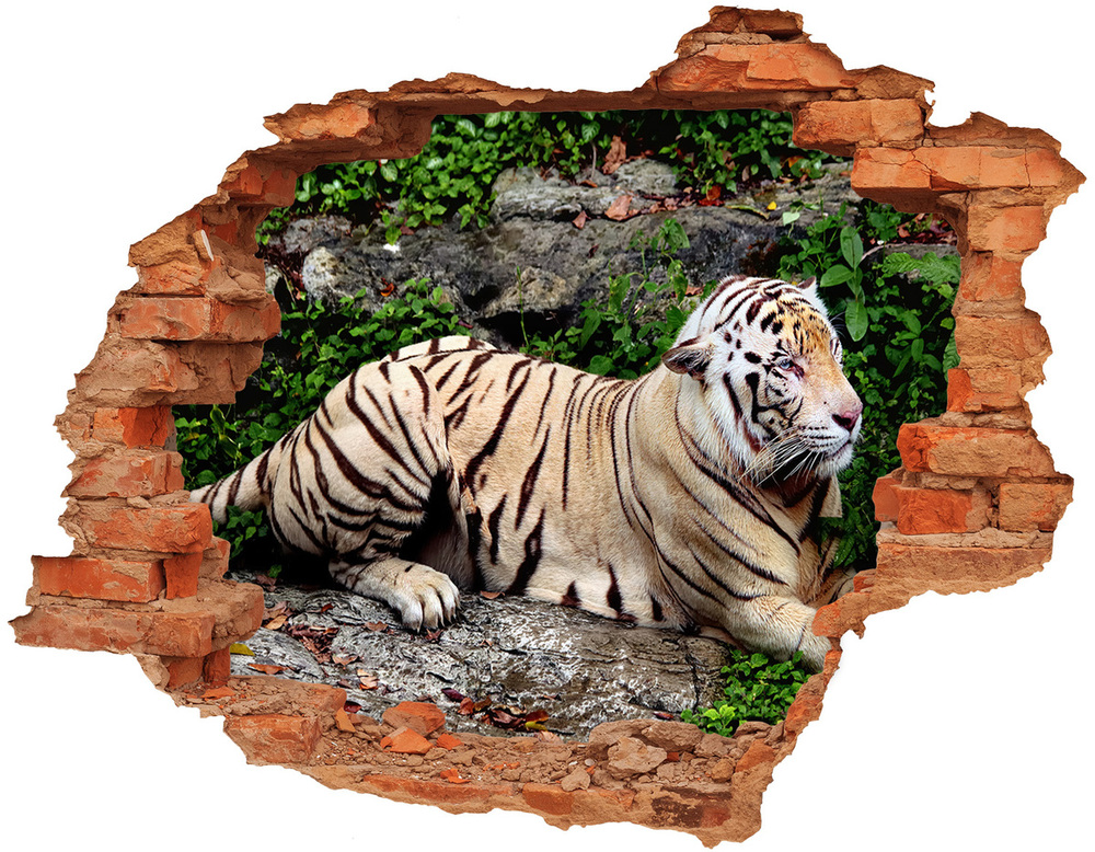 Fototapet 3D gaură în perete Tiger pe stâncă