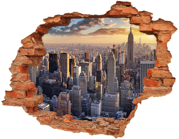 Autocolant 3D gaura cu priveliște New York pasăre de zbor