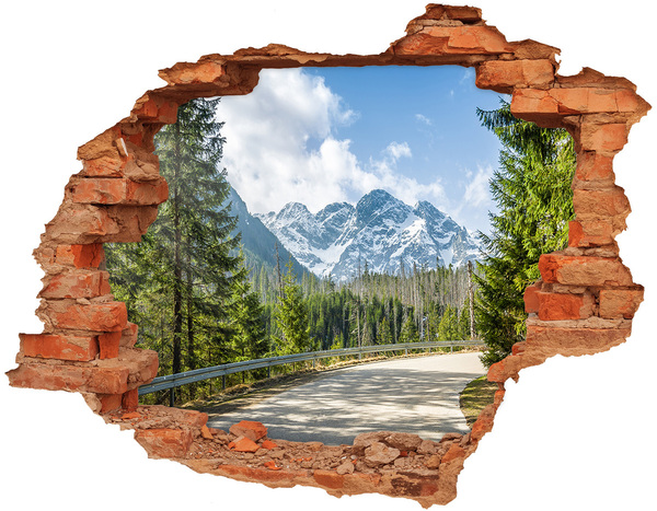 Autocolant un zid spart cu priveliște Road Tatry