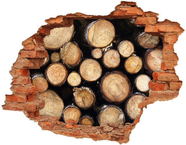 Fototapet un zid spart cu priveliște Lemn într-o gaură în perete