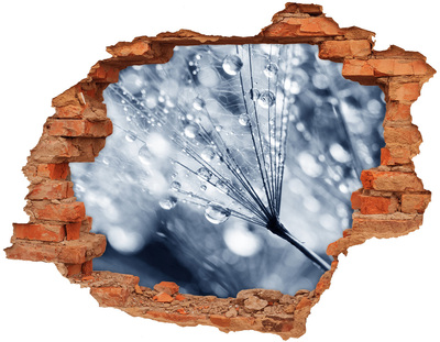 Fototapet 3D gaură în perete Picături de rouă pe o păpădie