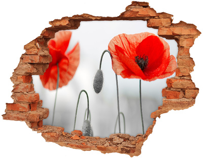 Autocolant 3D gaura cu priveliște Flori într-o gaură în perete