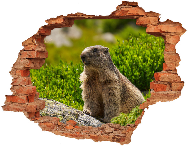 Autocolant gaură 3D Marmota în sălbăticie