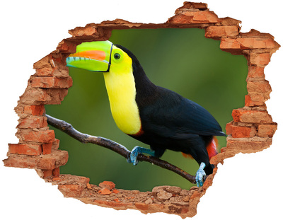 Autocolant de perete gaură 3D Tucan într-o pădure tropicală