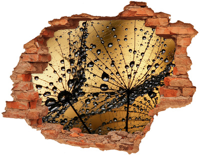 Autocolant autoadeziv gaură Picături pe frunze