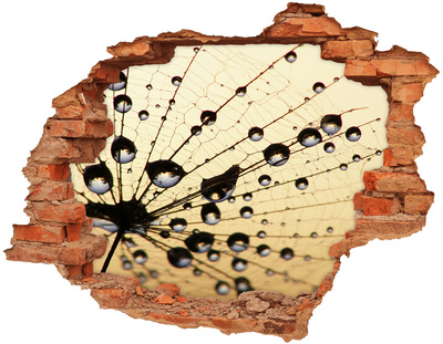 Fototapet un zid spart cu priveliște Picături de apă pe aripa unui fluture