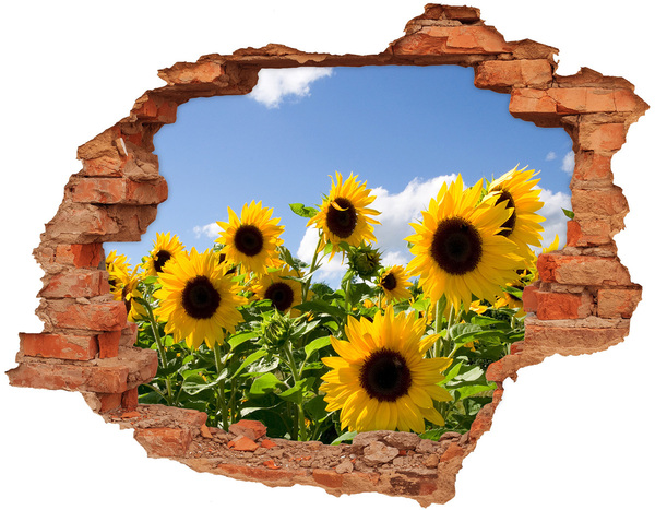 Fototapet 3D gaură în perete Floarea soarelui