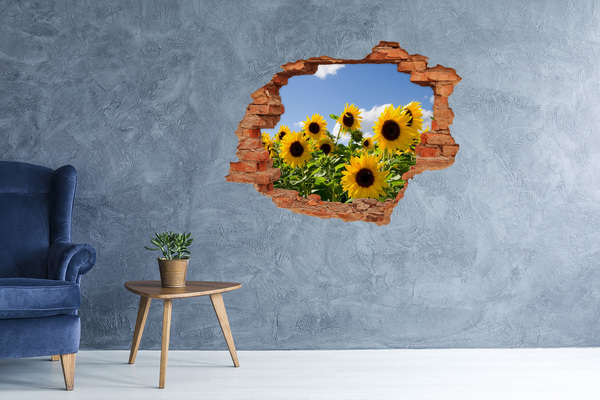 Fototapet 3D gaură în perete Floarea soarelui