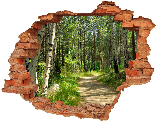 Autocolant gaură 3D Calea în pădure