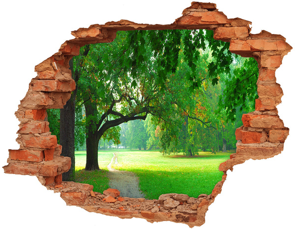 Autocolant de perete gaură 3D Parc verde la soare