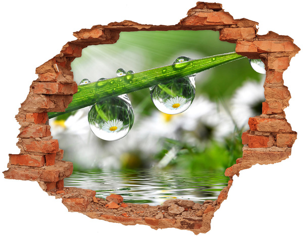 Autocolant un zid spart cu priveliște Oază florală cu picături de apă