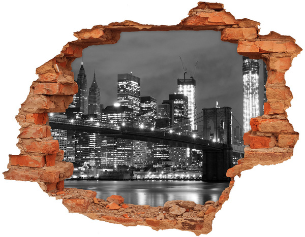 Fototapet 3D gaură în perete Manhattan New York City