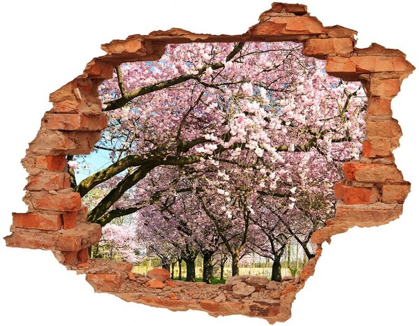 Autocolant gaură 3D cires