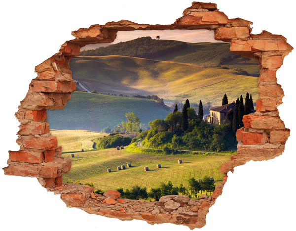 Fototapet 3D gaură în perete Peisajul idilic al Toscanei
