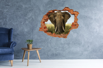 Autocolant gaură 3D Elephant pe savana