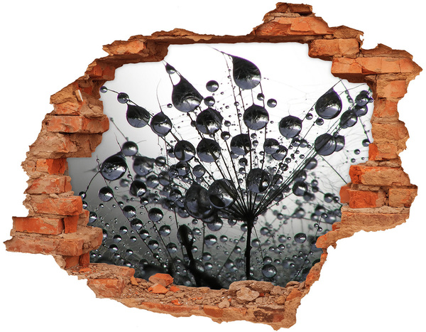 Autocolant 3D gaura cu priveliște Picături de apă pe o păpădie