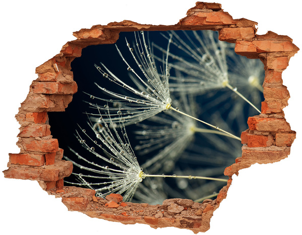 Autocolant gaură 3D Flori de păpădie în apă