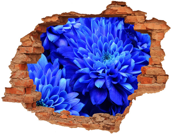Autocolant gaură 3D Aster albastru