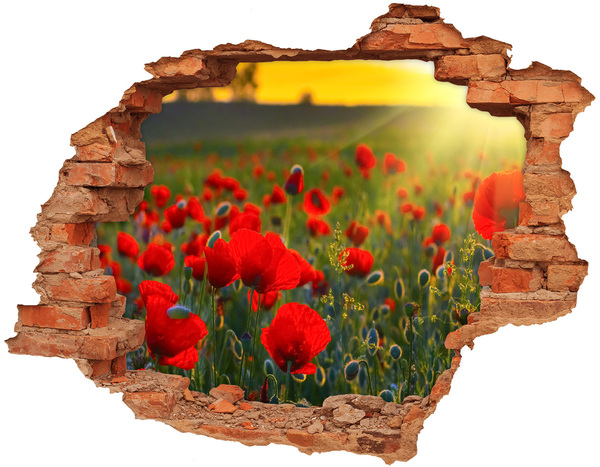 Fototapet 3D gaură în perete câmp de maci