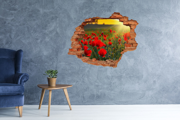 Fototapet 3D gaură în perete câmp de maci