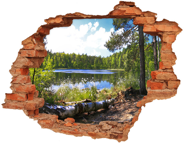 Autocolant de perete gaură 3D Panorama de pădure
