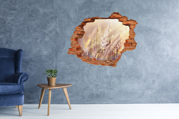 Fototapet 3D gaură în perete Pajiște cu flori în spatele zidului