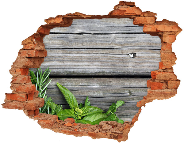 Autocolant de perete gaură 3D ierburi de fundal din lemn