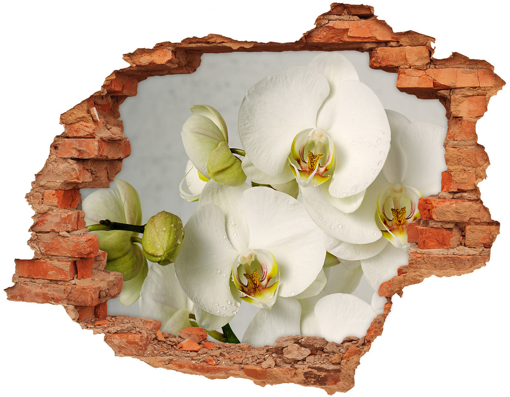 Autocolant de perete gaură 3D alb orhidee