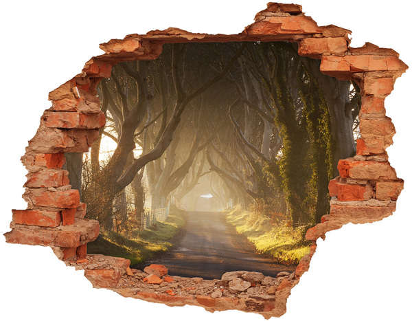 Autocolant 3D gaura cu priveliște Ceață în pădure