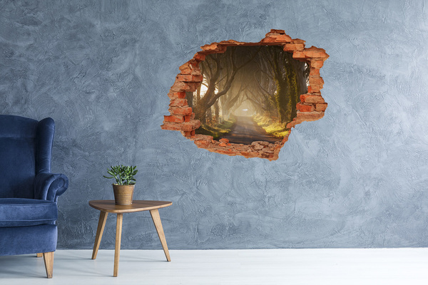 Autocolant 3D gaura cu priveliște O cărare printre copaci