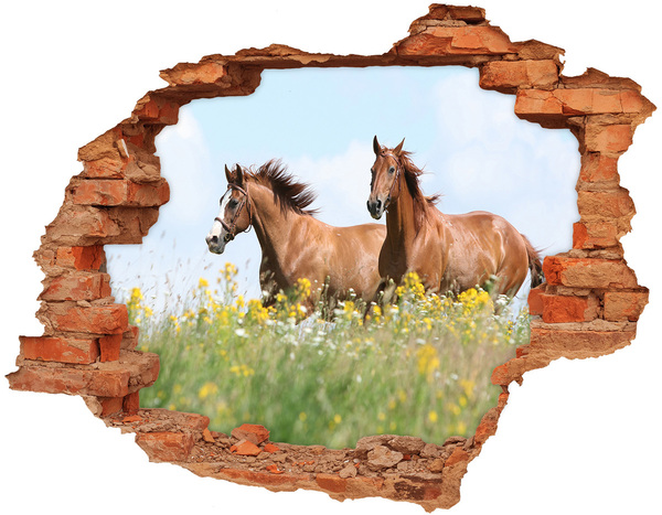 Autocolant 3D gaura cu priveliște Doi cai în galop