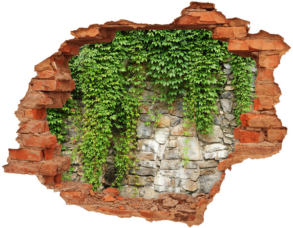 Fototapet 3D gaură în perete iederă verde