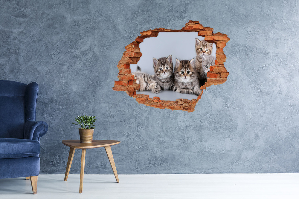 Autocolant de perete gaură 3D cinci pisici