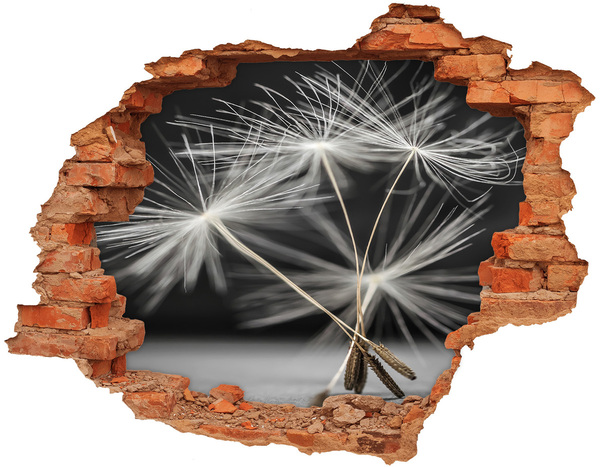 Autocolant gaură 3D Flori de păpădie în beton