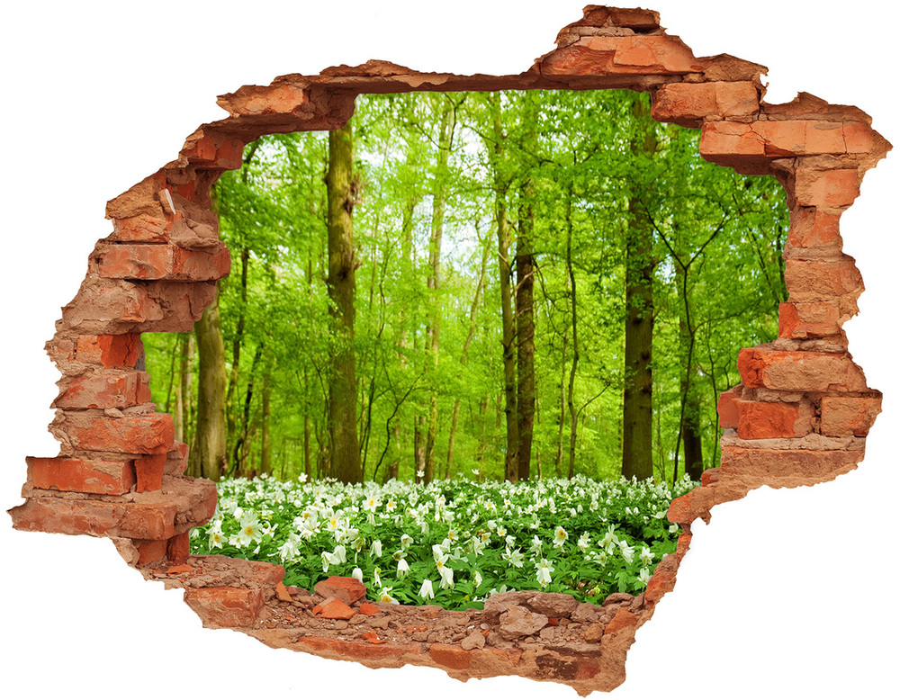 Fototapet 3D gaură în perete Flori în pădure