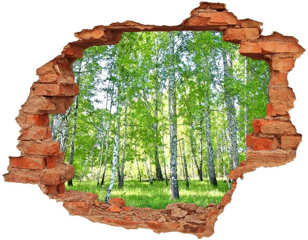 Fototapet 3D gaură în perete mesteceni