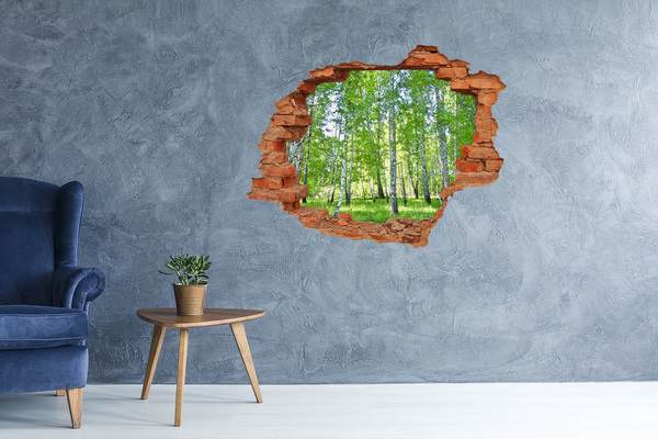 Fototapet 3D gaură în perete mesteceni