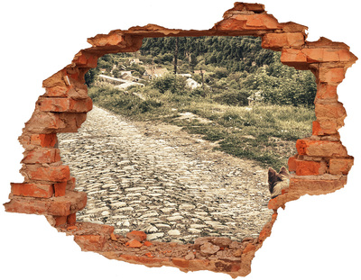 Fototapet 3D gaură în perete Un drum de țară fermecător