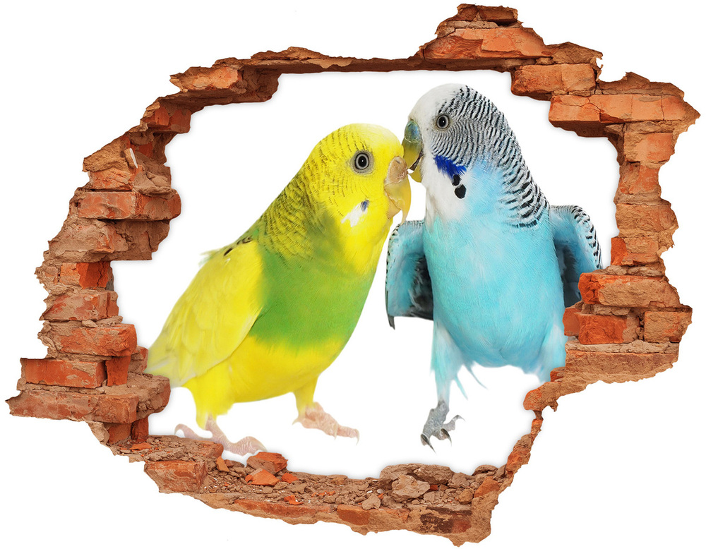 Fototapet un zid spart cu priveliște budgies