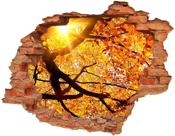 Fototapet 3D gaură în perete Coroana de copaci de toamnă
