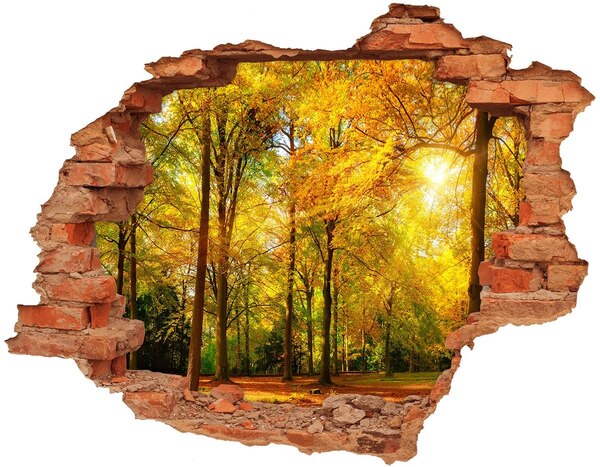 Autocolant gaură 3D pădure în toamna
