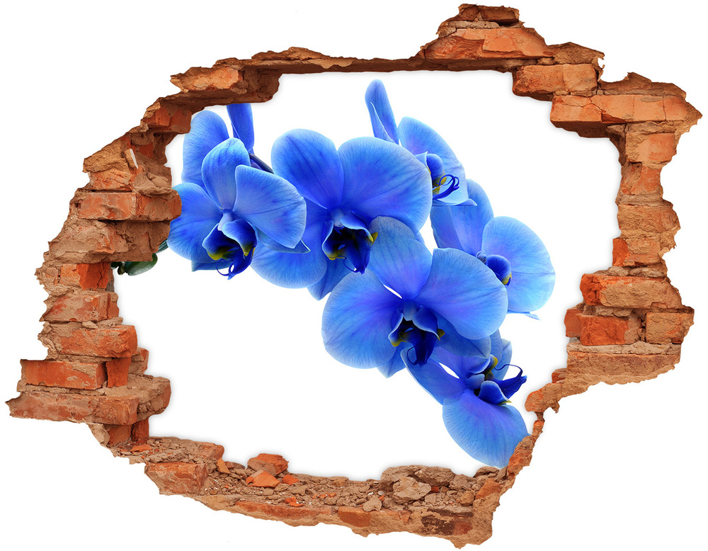 Autocolant gaură 3D albastru orhidee